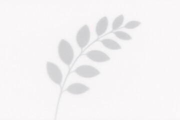 Minimalist Botanical Shadow Overlay Effect on Light Background for Elegant Design