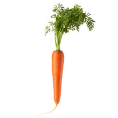 Fresh orange carrot with green leaves isolated on transparent background