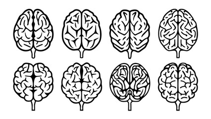 Vector Human Brain Line Art