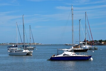 sailboats moored on the river