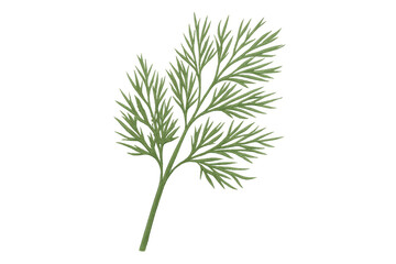 Fototapeta premium Delicate dill sprig displaying feathery green foliage, floating against transparent backdrop, perfect for culinary imagery
