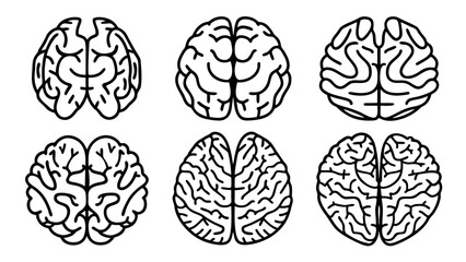 Vector Human Brain Line Art