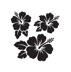Black hibiscus flowers with leaves floral tropical © Natural vibes