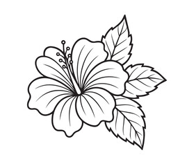 Delicate hibiscus flower with detailed petals and leaves bloom botanical