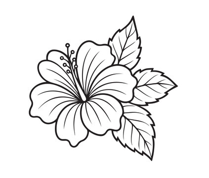 Delicate hibiscus flower with detailed petals and leaves bloom botanical