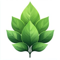 Detailed illustration of vibrant green leaves arranged in a symmetrical pattern on a white background