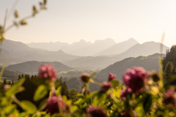 Golden hour sun with alps landscape in upperaustria