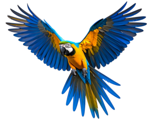 Untitled design - Flying Macaw in Diagonal Angle with Motion Blur Effect, Artistic Style, Transparent Background