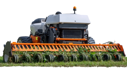 High Power Lawn Trimmer