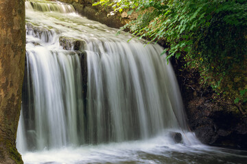 small waterfall in the forest