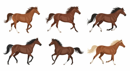 Horses in Motion – Flat Vector Set of Galloping, Trotting, and Frolicking Equine Breeds Isolated on White Background
