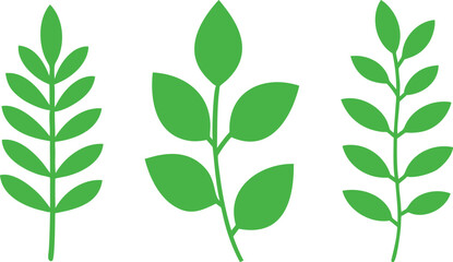 Fototapeta premium Three simple green plant stems with leaves on a white background