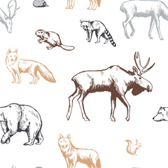 Hand-drawn forest animals on white background. Vector seamless pattern. 