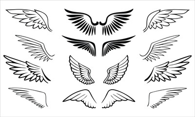 Black and white wing designs wings illustration