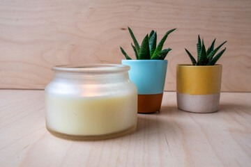 Lit Scented Candle with Mini Succulents on Wooden Surface – Cozy Minimalist Decor