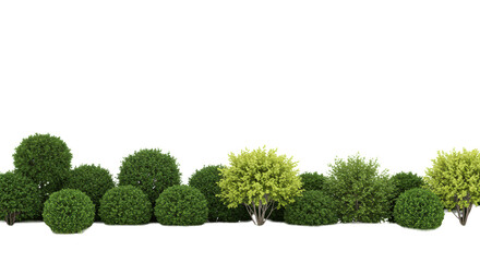 A continuous line of dense green shrubs and bushes, blending meticulously manicured boxwood and natural wild growth, rich green shades and textures on a vast white plain with bright, uniform studio