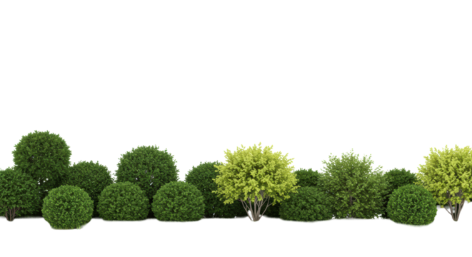 A continuous line of dense green shrubs and bushes, blending meticulously manicured boxwood and natural wild growth, rich green shades and textures on a vast white plain with bright, uniform studio