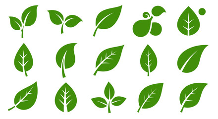Green leaves icons set isolated on white background vector illustration. Vegan, tree, plant, fresh, energy and healthy nutrition concept.
