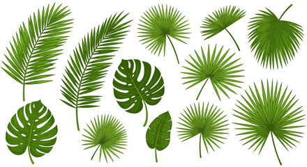 Green leaves icons set isolated on white background vector illustration. Vegan, tree, plant, fresh, energy and healthy nutrition concept.
