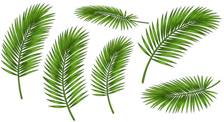 Green leaves icons set isolated on white background vector illustration. Vegan, tree, plant, fresh, energy and healthy nutrition concept.
