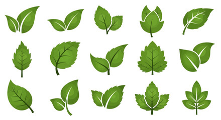 Green leaves icons set isolated on white background vector illustration. Vegan, tree, plant, fresh, energy and healthy nutrition concept.
