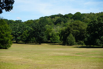 Fototapeta premium Sunny meadow and wooded hillside at Bramcote Hills Park in Nottinghamshire England