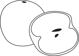 Vector illustration of a whole pear and a half pear with visible seeds.