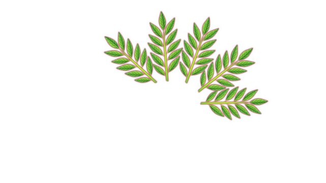 draw pink flower decorate with joining several green leaf in circular shape on white screen background
