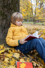 I love autumn and books. A boy of 8 years old sits in the park on fallen leaves near a tree and...
