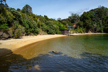 Serene Beach with Lush Greenery and Calm Waters