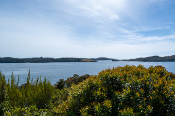 Serene Coastal Landscape with Islands and Lush Greenery