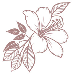 powder puff pink flower with leaves