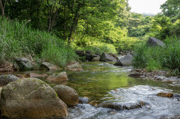 山梨県北杜市の塩川の渓流