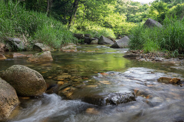 山梨県北杜市の塩川の渓流