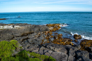 Rocky Coastline with Blue Ocean and Greenery