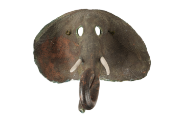 mushroom isolated on white  Giant freshwater stingray