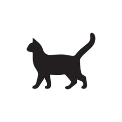 cat on white background