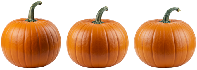 Three vibrant orange pumpkins on transparent background  