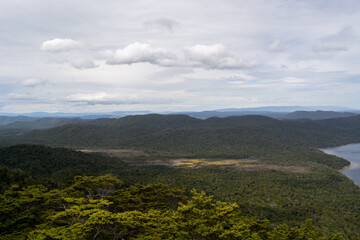Panoramic View of Lush Green Hills and Forests