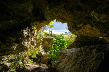 Inside a Cave with a View of Lush Landscape