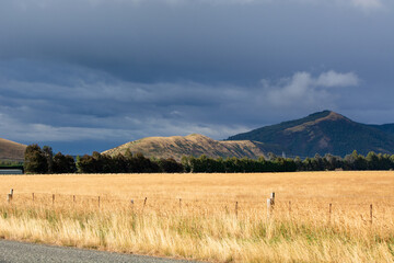 Golden Fields Under Dramatic Sky