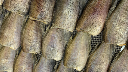 Sun-Dried Fish Neatly Arranged on Drying Rack. Ideal for Traditional Food and Preservation Content
