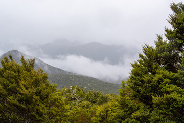 Misty Mountain Landscape with Lush Greenery