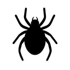 Spider: Intriguing Arachnids of Nature