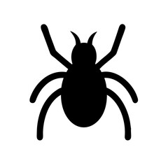 Spider: Intriguing Arachnids of Nature