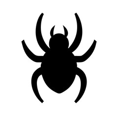 Spider: Intriguing Arachnids of Nature