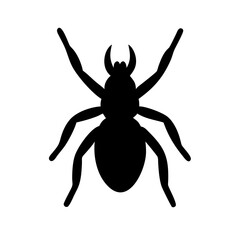 Spider: Intriguing Arachnids of Nature