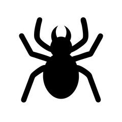 Spider: Intriguing Arachnids of Nature