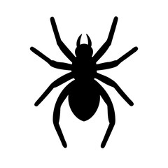 Spider: Intriguing Arachnids of Nature