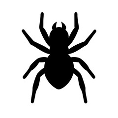 Spider: Intriguing Arachnids of Nature